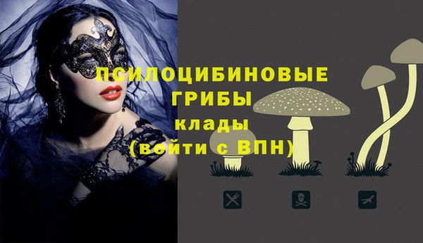 винт Алексеевка