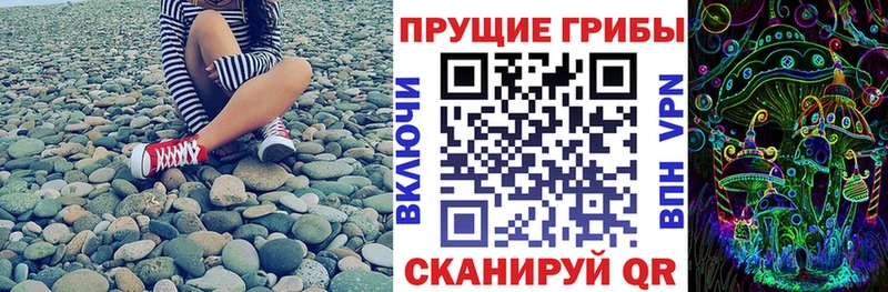 Псилоцибиновые грибы GOLDEN TEACHER  Купить закладки  Тверь 